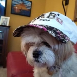 Meet your Posher, Janet